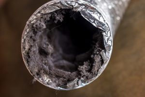 dirty-dryer-vent-interior